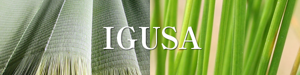 igusa